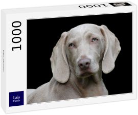 Lais Puzzle - Weimaraner - 1.000 Teile