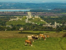 Lais Puzzle - Burg Corfe - 500 & 1.000 Teile