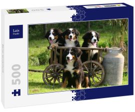 Lais Puzzle - Berner Sennenhund - 500 Teile