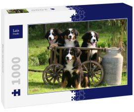 Lais Puzzle - Berner Sennenhund - 1.000 Teile