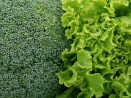 Lais Puzzle - Brokkoli und Salat - 1.000 Teile