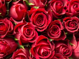 Lais Puzzle - Rote Rosen - 1.000 Teile