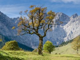 Lais Puzzle - Berge Alpen Karwendel - 200 Teile