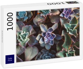 Lais Puzzle - Sukkulente - 1.000 Teile