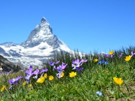 Lais Puzzle - Matterhorn Alpen Zermatt - 500 Teile