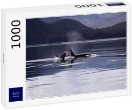 Lais Puzzle - Orcas - 1.000 Teile