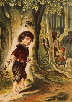 Lais Puzzle - Hänsel und Gretel - 100 & 200 Teile