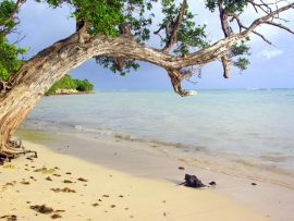 Lais Puzzle - Guadeloupe Frankreich Landschaft - 1.000 Teile