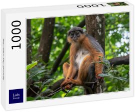 Lais Puzzle - Temminck-Stummelaffe - 1.000 Teile