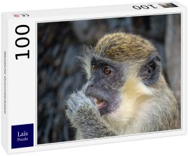 Lais Puzzle - Westliche Grünmeerkatze - 100 Teile