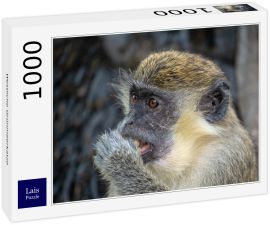 Lais Puzzle - Westliche Grünmeerkatze - 1.000 Teile