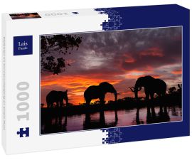 Lais Puzzle - Elefanten im Sonnenuntergang an einem Fluss - 1.000 Teile