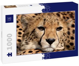 Lais Puzzle - Gepard - 1.000 Teile