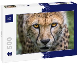 Lais Puzzle - Gepard - 500 Teile
