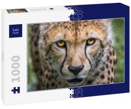 Lais Puzzle - Gepard - 1.000 Teile