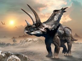 Lais Puzzle - Agujaceratops Dinosaurier - 500 & 1.000 Teile