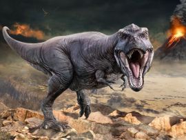 Lais Puzzle - Tyrannosaurus rex - 500 & 1.000 Teile