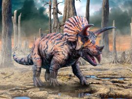 Lais Puzzle - Triceratops Dinosaurier - 500 & 1.000 Teile