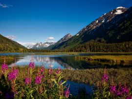 Lais Puzzle - Alaska Landschaft - 1.000 Teile
