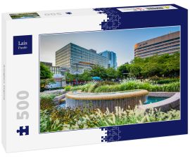 Lais Puzzle - Arlington, Virginia - 500 Teile
