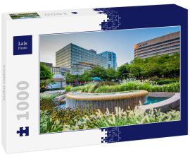 Lais Puzzle - Arlington, Virginia - 1.000 Teile