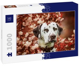 Lais Puzzle - Dalmatiner - 1.000 Teile