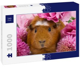 Lais Puzzle - Meerschweinchen in rosa Blumen - 1.000 Teile