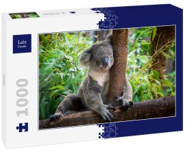 Lais Puzzle - Koala - 1.000 Teile