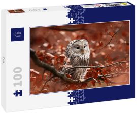 Lais Puzzle - Eule - 100 Teile