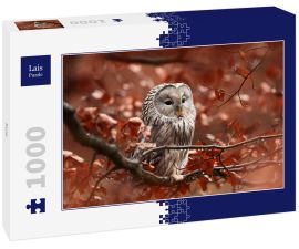 Lais Puzzle - Eule - 1.000 Teile