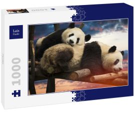 Lais Puzzle - Pandas - 1.000 Teile