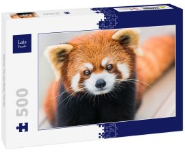 Lais Puzzle - Kleiner Panda/Roter Panda - 500 Teile