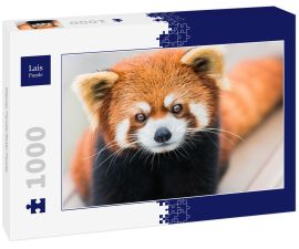 Lais Puzzle - Kleiner Panda/Roter Panda - 1.000 Teile