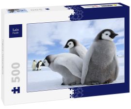 Lais Puzzle - Pinguine / Kaiserpinguine - 500 Teile