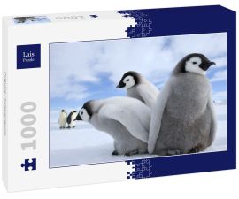 Lais Puzzle - Pinguine / Kaiserpinguine - 1.000 Teile
