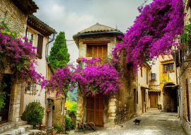 Lais Puzzle - Provence - 100, 200 & 500 Teile