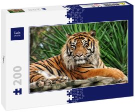 Lais Puzzle - Tiger - 200 Teile