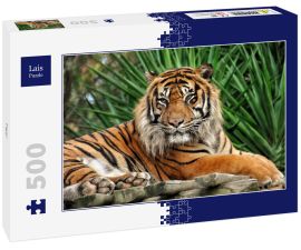 Lais Puzzle - Tiger - 500 Teile