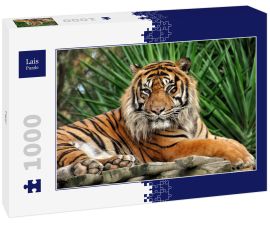 Lais Puzzle - Tiger - 1.000 Teile
