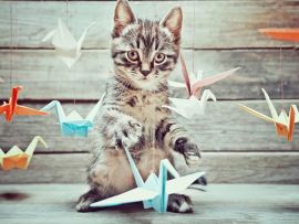 Lais Puzzle - Kleine Katze spielt mit bunten Papierkränen - 500 & 1.000 Teile