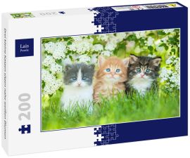 Lais Puzzle - Drei kleine Katzen sitzen nahe weißen Blumen - 200 Teile