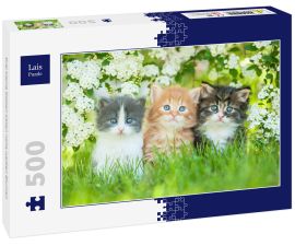 Lais Puzzle - Drei kleine Katzen sitzen nahe weißen Blumen - 500 Teile