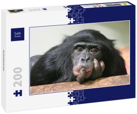 Lais Puzzle - Schimpanse - 200 Teile