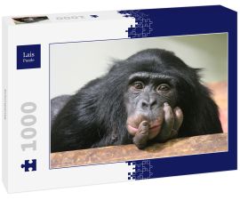 Lais Puzzle - Schimpanse - 1.000 Teile