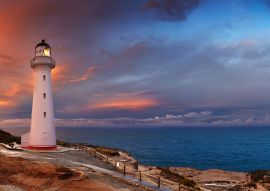 Lais Puzzle - Castle Point Leuchtturm Neuseeland - 100, 200, 500 & 1.000 Teile