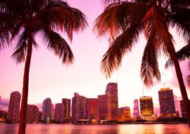Lais Puzzle - Miami Skyline, Florida - 100, 200, 500 & 1.000 Teile