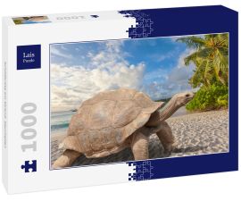 Lais Puzzle - Schildkröte am Strand, Seychellen - 1.000 Teile