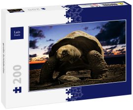 Lais Puzzle - große Schildkröte - 200 Teile