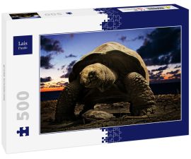 Lais Puzzle - große Schildkröte - 500 Teile