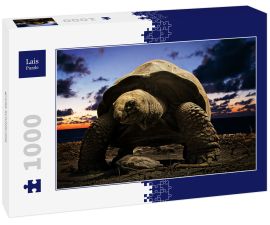 Lais Puzzle - große Schildkröte - 1.000 Teile
